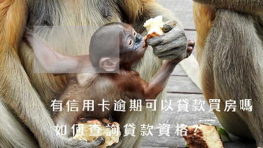 有信用卡逾期可以貸款買房嗎？如何查詢貸款資格？